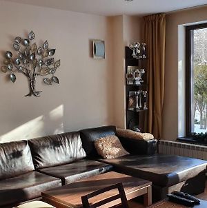 Terra Komplex-Balkan Delux Private Apartment - Golf & Skiing Μπάνσκο Exterior photo