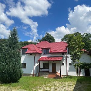 Casa Ina Rasnov Βίλα Exterior photo