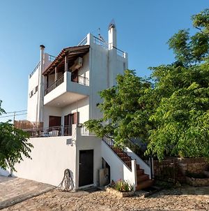 Apteramare Tradidtional House 'New Listing 2022' Βίλα Χανιά Exterior photo
