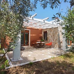 Elea Stone Houses In Organic Quiet Olive Grove, Prinos, Thassos Βίλα Exterior photo