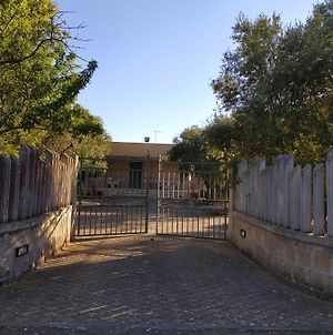 Villa Spank San Vito dei Normanni Exterior photo