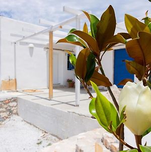 Wonderful Apartment In Paros Μάρπησσα Exterior photo