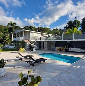 Palm'S Bohemian House With Private Pool Βίλα Aguada Exterior photo