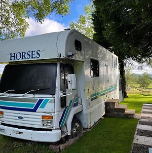 Dobbin The Horse Box In The Lake District Βίλα Cockermouth Exterior photo