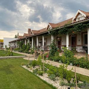 Country Club La Mesteceni Ξενοδοχείο Sebeş Exterior photo