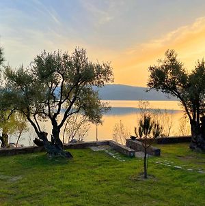 Seafront Traditional Stone House In Sunset Olive Grove - B Βίλα Alyfanta Exterior photo