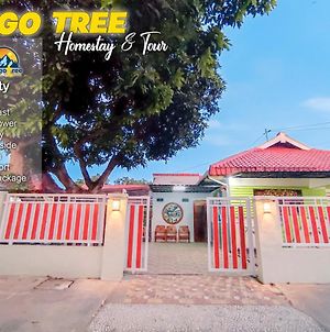 Mango Tree Homestay & Ijen Tour Banyuwangi  Exterior photo