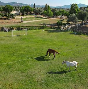 House In 10 Acres Of Grass With Horses Βίλα Ερέτρια Exterior photo