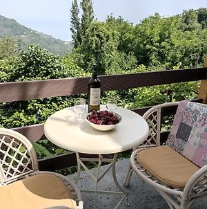 Beautiful Pelion Guesthouse With Spectacular Views Ανήλιο Πηλίου Exterior photo