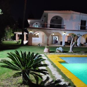 Lovely Spacious Five Bedroom Villa With A Pool Αλεξάνδρεια Exterior photo