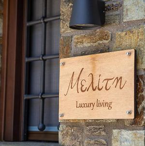 Μελίτη Pelion Luxury Living Διαμέρισμα Ζαγορά Exterior photo