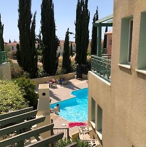 Large 1 Bed Apartment With Pvt Sun Terrace Πάφος Exterior photo