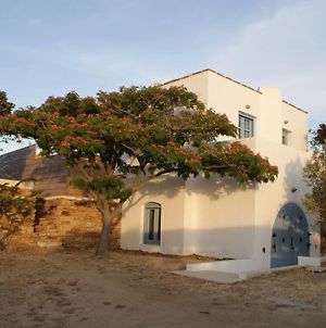 Casa Citrus Διαμέρισμα Naxos City Exterior photo