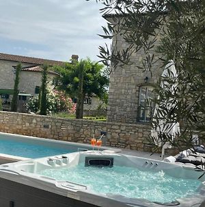Villa Salvia With Private Pool And Jacuzzi Višnjan Exterior photo