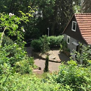 Naturhauschen Mit Gartenwhirlpool Und Kamin Βίλα Melsungen Exterior photo