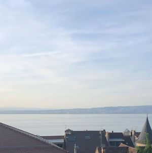 Leman Lake Panoramic View - Evian-Les-Bains City Center Exterior photo