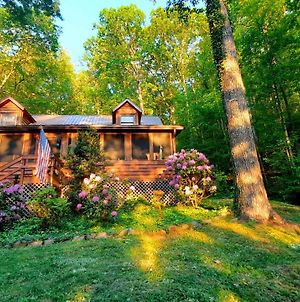 The Mountain Forager Cabin, Whitewater Rafting, Polar Express, Hot Tub, Home Gym Bryson City Exterior photo