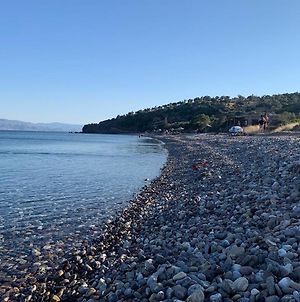 Denize Sifir, Midilli Manzarali Iki Kucuk Tatil Evi. Βίλα Ayvacik Exterior photo