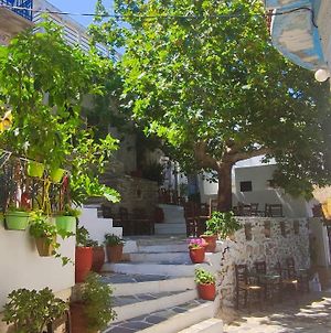 Fasolas Square House "Freideriki" Is Located 30 Stairs Up From The Main Road And It Is In The Old Market "Fasolas" And Next To The Museums Φιλώτι Exterior photo