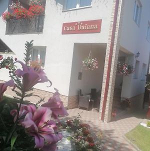 Casa Daiana Ξενοδοχείο Moisei Exterior photo
