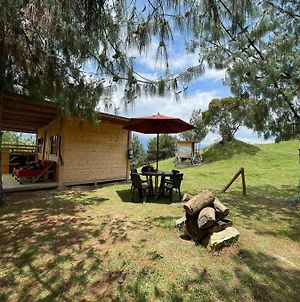 Experiencia Con Hermosa Vista Al Embalse De Tomine En Guasca, Cundinamarca Ξενοδοχείο Santuario  Exterior photo