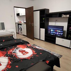 Garsoniera 30Mp Chrysflatty 1 - Free Netflix Διαμέρισμα Αράντ Exterior photo