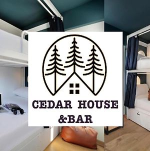 Cedar House Istanbul Hostel Exterior photo