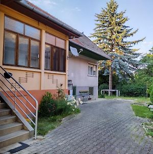 Zadora Haus Διαμέρισμα Săcele Exterior photo