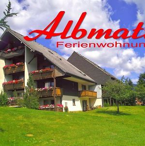 A6 Schwarzwald-Fewo An Der Alb Διαμέρισμα Menzenschwand-Hinterdorf Exterior photo