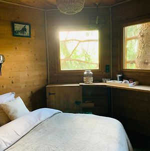Cabane Dans Las Arbres - Valmo'Insolite Bed and Breakfast Valmorel Exterior photo