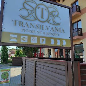 Pensiunea Transilvania Odorheiu Secuiesc Exterior photo