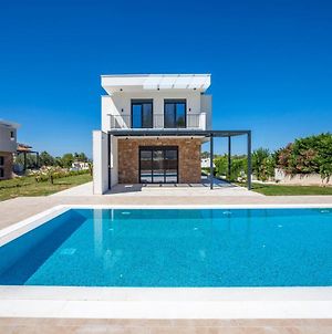 Alfie Luxury Villa With Private Pool Πευκοχώρι Exterior photo