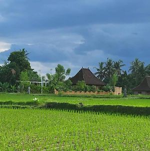 The Morgan Villa With Rice Field View Ουμπούντ Exterior photo