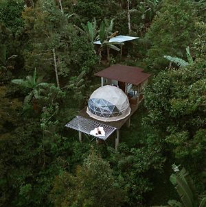 Bali Jungle Camping Ξενοδοχείο Selemadeg Exterior photo