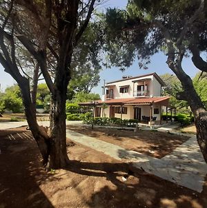 Yannis Villa Katarrakhion Exterior photo