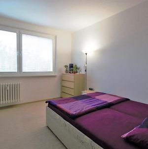 Cozy, Bright Room With Free Parking Μπρατισλάβα Exterior photo