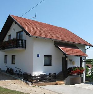 Apartments With A Parking Space Smoljanac, Plitvice - 11334 Exterior photo