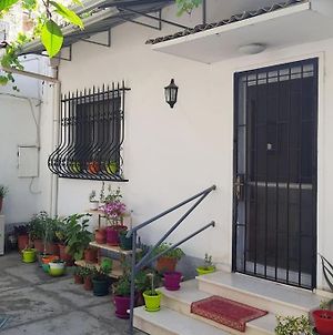 Centrally Located Lemon House Βίλα Τίρανα Exterior photo