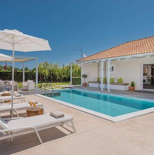 Madini Luxury Villa With Private Swimming Pool Βανάτο Exterior photo