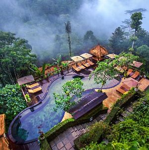 Nandini Jungle Resort & Spa Bali Ουμπούντ Exterior photo