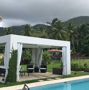 Elegant Home With Private Pool In El Yunque Rio Grande Exterior photo