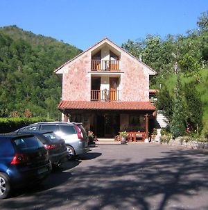 Hotel La Salmonera Cangas De Onis Caño Exterior photo