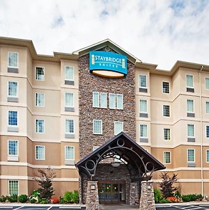 Staybridge Suites-Knoxville Oak Ridge, An Ihg Hotel Όακ Ριτζ Exterior photo