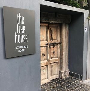 The Tree House Boutique Hotel Κέιπ Τάουν Exterior photo