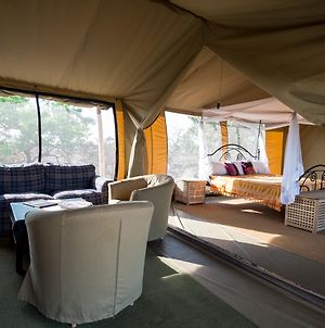 Serengeti Ikoma Wild Camp Ξενοδοχείο Exterior photo