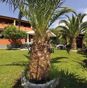 Villa Toula Δασιά Exterior photo