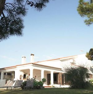 Casa Maresia - Sea Front Villa Aljezur Exterior photo