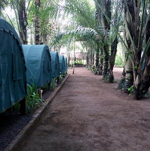 Tegal Dukuh Camp Ξενοδοχείο Tegallalang  Exterior photo