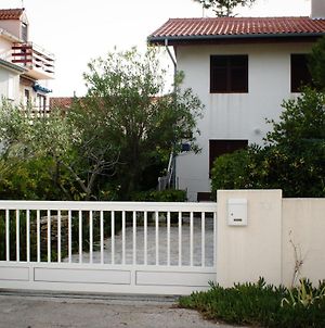 Apartments With A Parking Space Sabunike, Zadar - 12960 Privlaka  Exterior photo