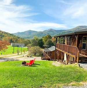 Hoot Owl- New Cabin In Black Mountain With Views!! Exterior photo